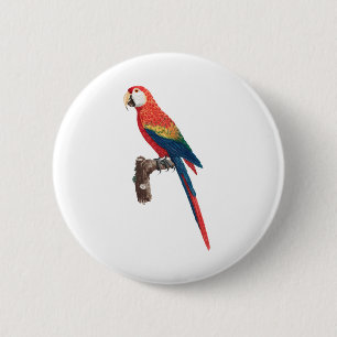 Red Parrots scarlet macaw bird Button