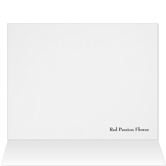 Red Passion Flower (Inside Horizontal (Top))