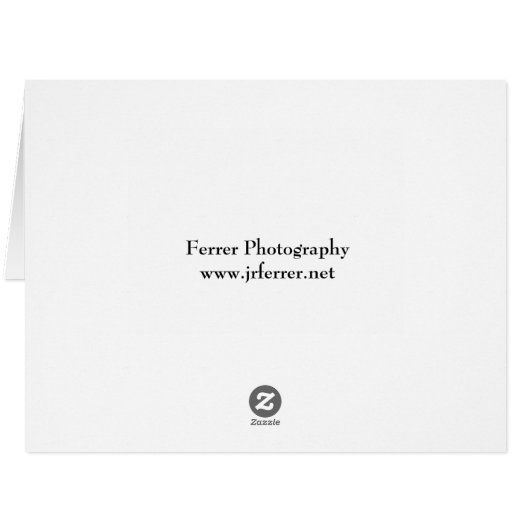 Red Passion Flower (Back Horizontal)