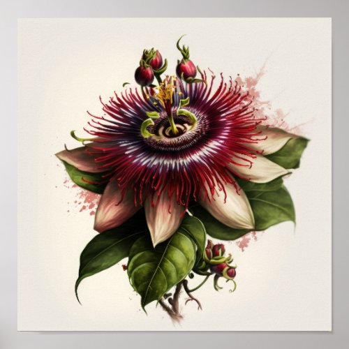 Red Passion Flower Art Print Poster