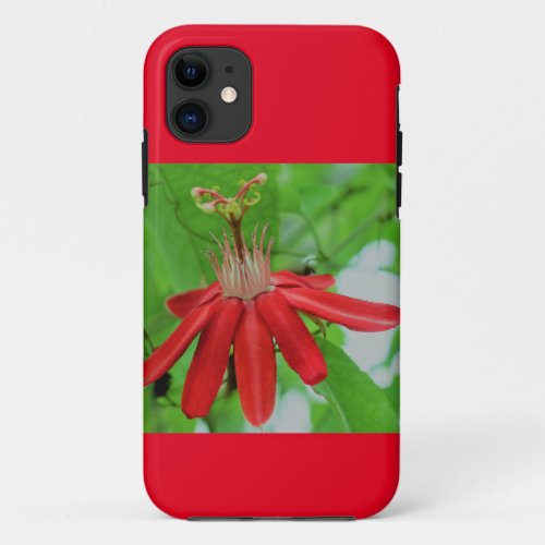 Red passion flower iPhone case