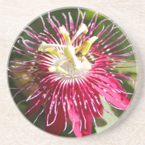 Red Passion Flower with Bee Coaster