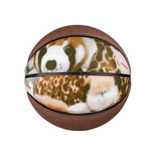 RedPatch Mini Basketball