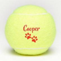 Red Paw Print Personalized Pet or Dog Name Toy