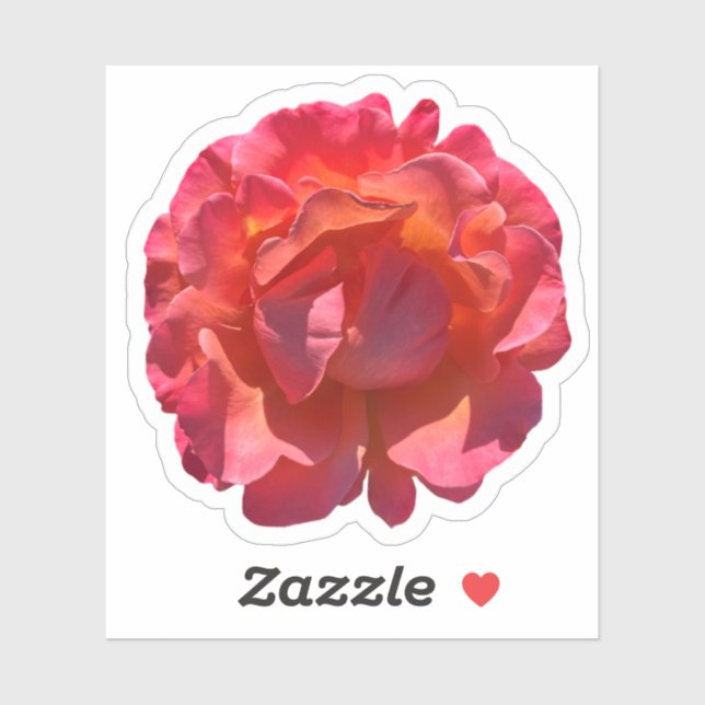 Red Peach Rose Blossom Sticker (Sheet)