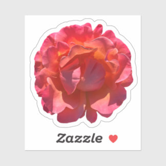Red Peach Rose Blossom Sticker
