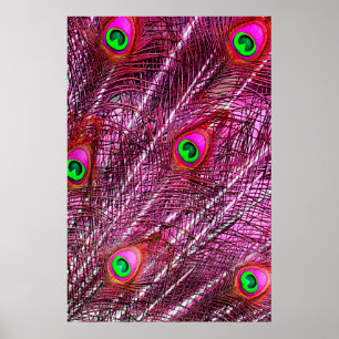 Red peacock feathers color plumage poster