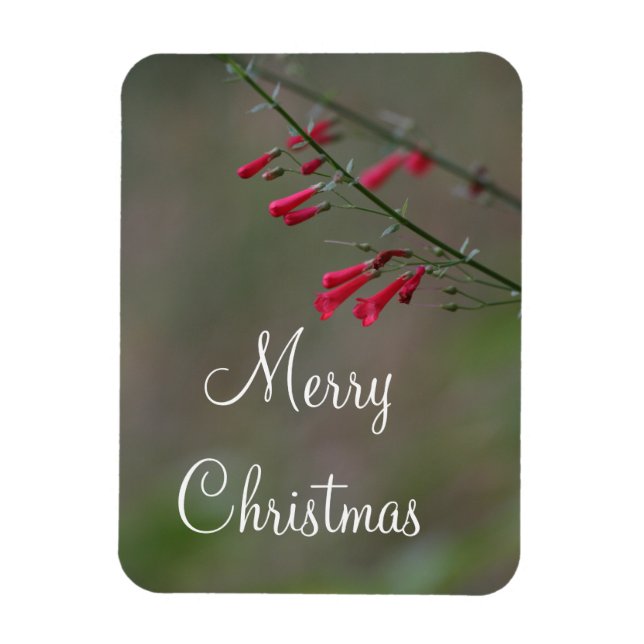 Red penstemon Merry Christmas Magnet (Vertical)