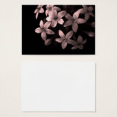 red pentas (Front & Back)