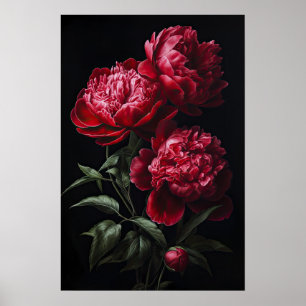 Red Peonies Flower Art Print Poster