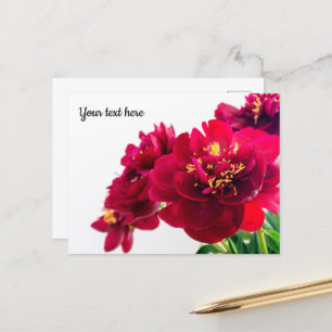 Red Peony Postcard