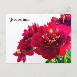 Red Peony Postcard