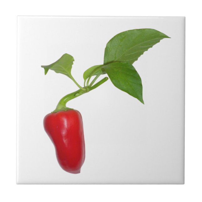 Red pepper ceramic tile (Front)