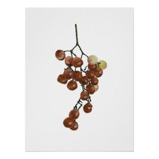 Red Peppercorns - Botanical Print 2