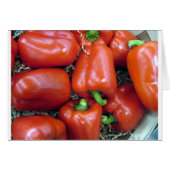 Red Peppers (Front Horizontal)