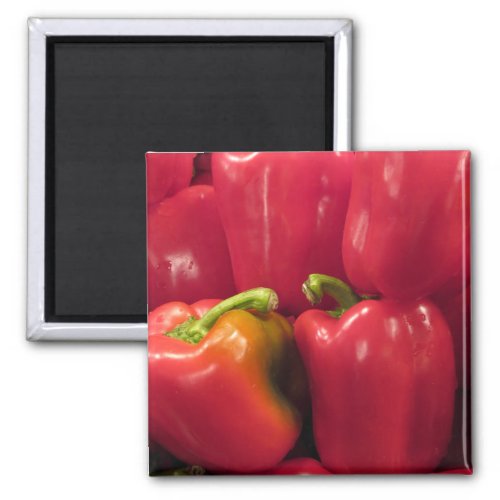Red Peppers Magnet