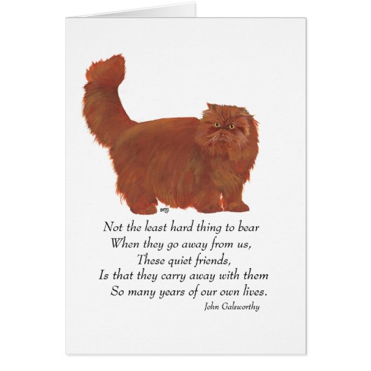 Red Persian Cat Rainbow Bridge Cards (Front)