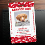 Red Personalized Paw Prints Service Dog Photo ID Badge