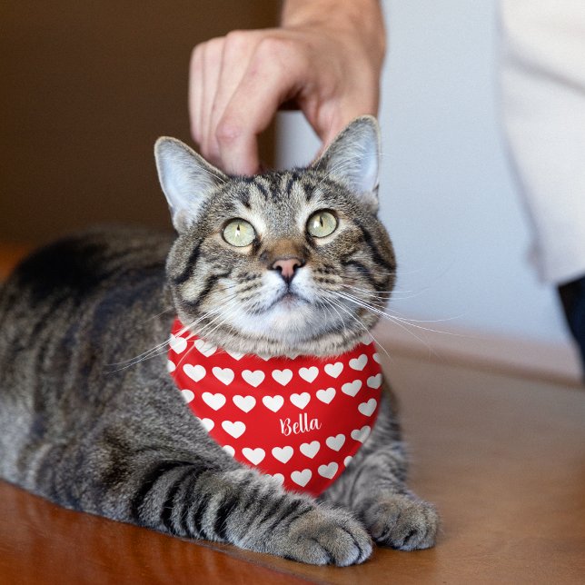 Red Pet Cat Custom Name Bandana (Red Pet Cat Custom Name Bandana)