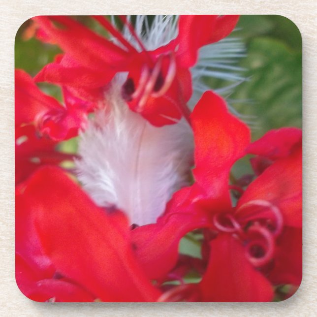 Red Petal Feather Art Print Beverage Coaster (Front)