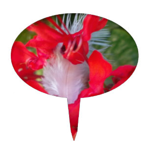 Red Petal Feather Art Print Cake Topper