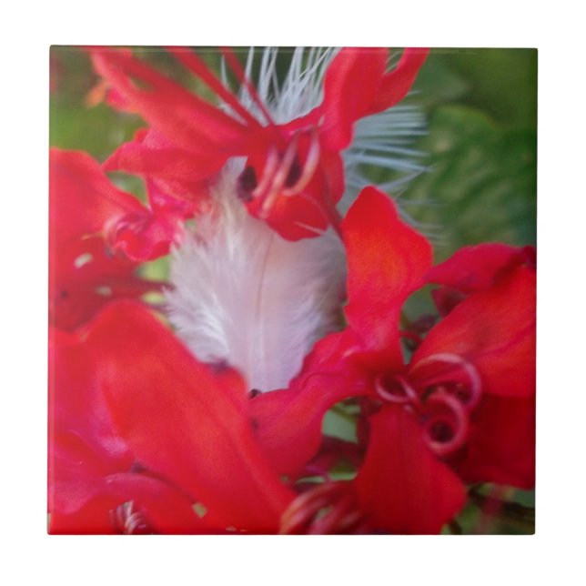 Red Petal Feather Art Print Ceramic Tile (Front)