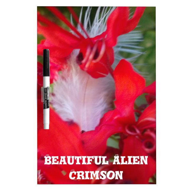 Red Petal Feather Art Print Dry-Erase Board (Front)