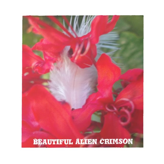 Red Petal Feather Art Print Notepad (Front)