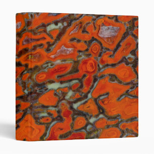 Red Petrified Dinosaur Bone 3 Ring Binder
