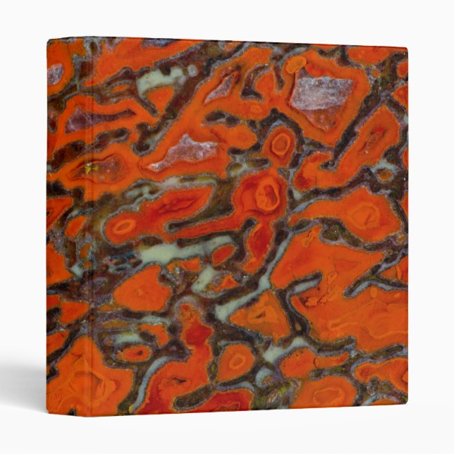 Red Petrified Dinosaur Bone 3 Ring Binder (Front/Spine)