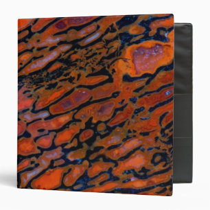 Red Petrified dinosaur bone Binder