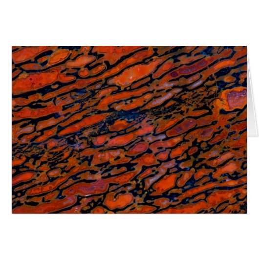 Red Petrified dinosaur bone Cards (Front Horizontal)