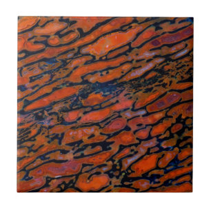 Red Petrified dinosaur bone Ceramic Tile