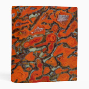 Red Petrified Dinosaur Bone Mini Binder