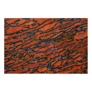 Red Petrified dinosaur bone Wood Wall Decor