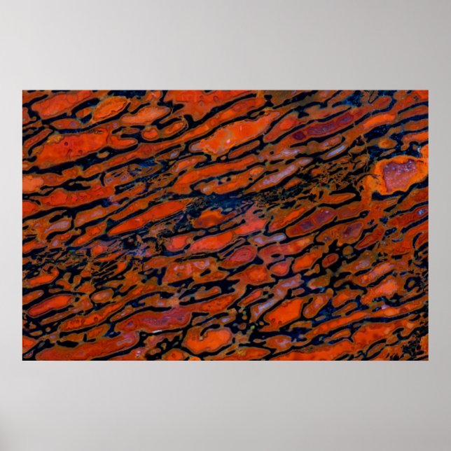 Red Petrified dinosaur Poster (Front)