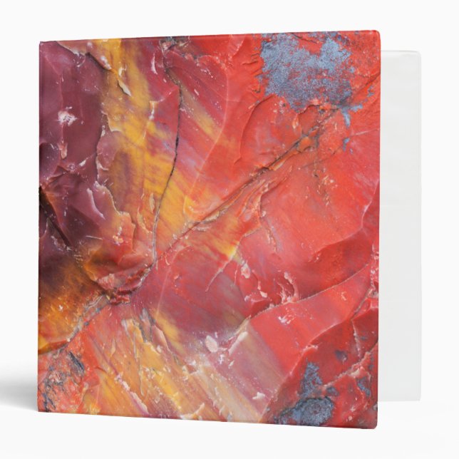 Red Petrified wood detail, Arizona Binder (Front/Inside)