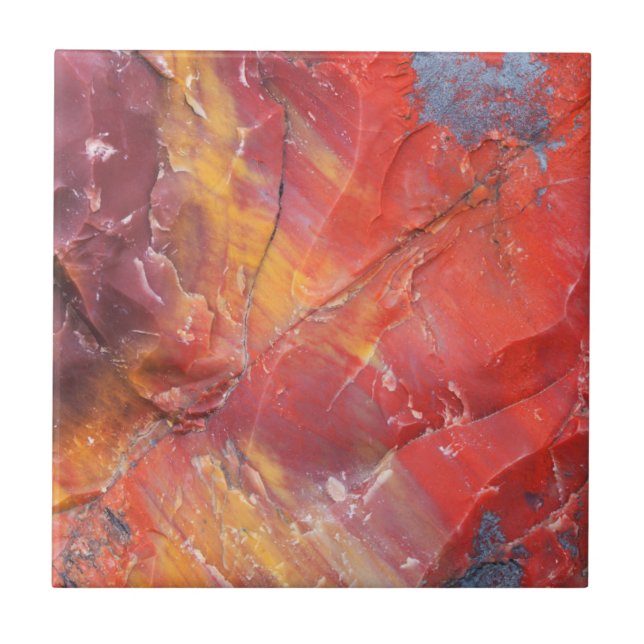 Red Petrified wood detail, Arizona Ceramic Tile (Front)