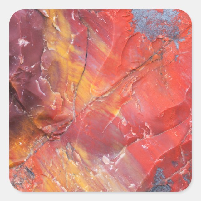 Red Petrified wood detail, Arizona Square Sticker (Front)