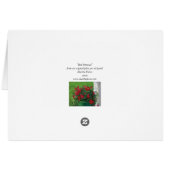 "Red Petunias" Cards (Back Horizontal)