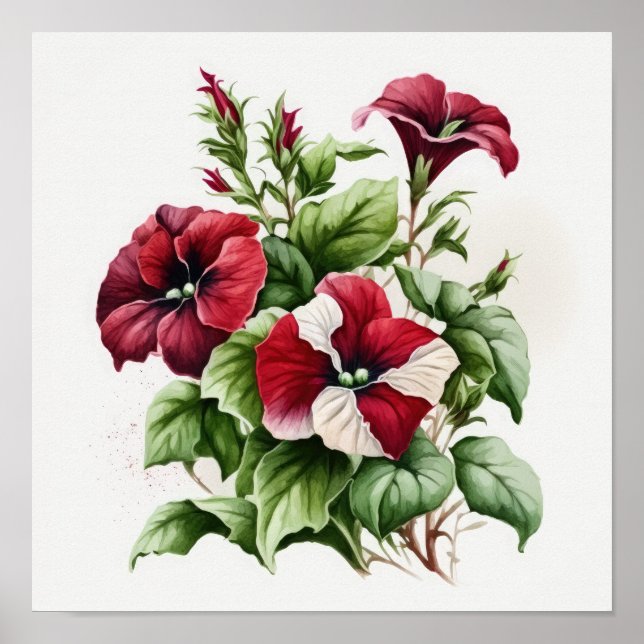Red Petunias Flower Art Print Poster (Front)