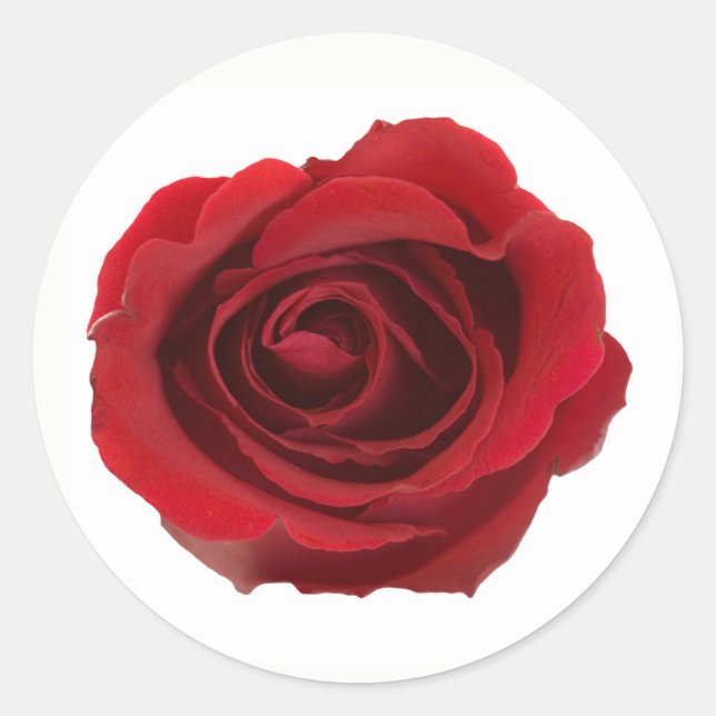 Red Photographic Rose Flower Classic Round Sticker (Front)