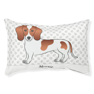 Red Pied Smooth Coat Dachshund Cartoon Dog &amp; Name Pet Bed