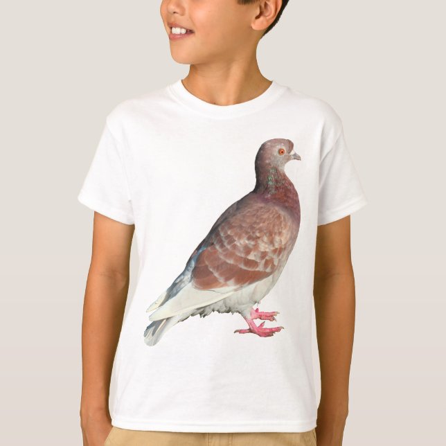 Red Pigeon (isolated) T-Shirt (Front)