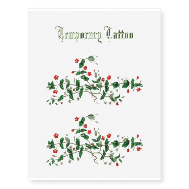 Red pimpernel flowers vintage sketch temporary tattoos (Front)