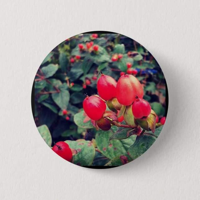 Red Pinback Button (Front)