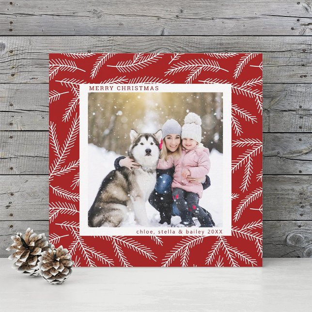 Red | Pine Branch Christmas Photo Square Holiday Card (Creator Uploaded)