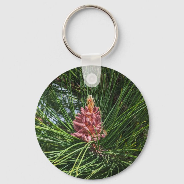 Red Pine Tree Pollen Cone (Pinus resinosa) Keychain (Front)