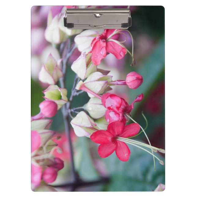 Red Pink and White Tropical Flowers Clipboard (Front)