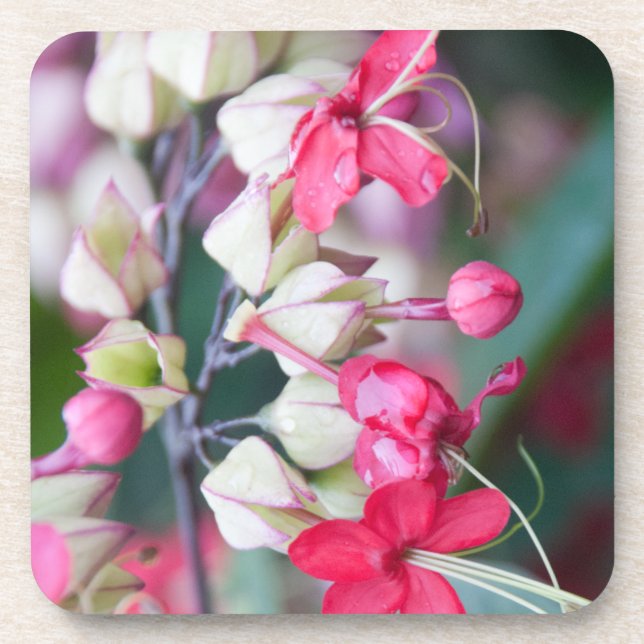Red Pink and White Tropical Flowers Drink Coaster (Front)